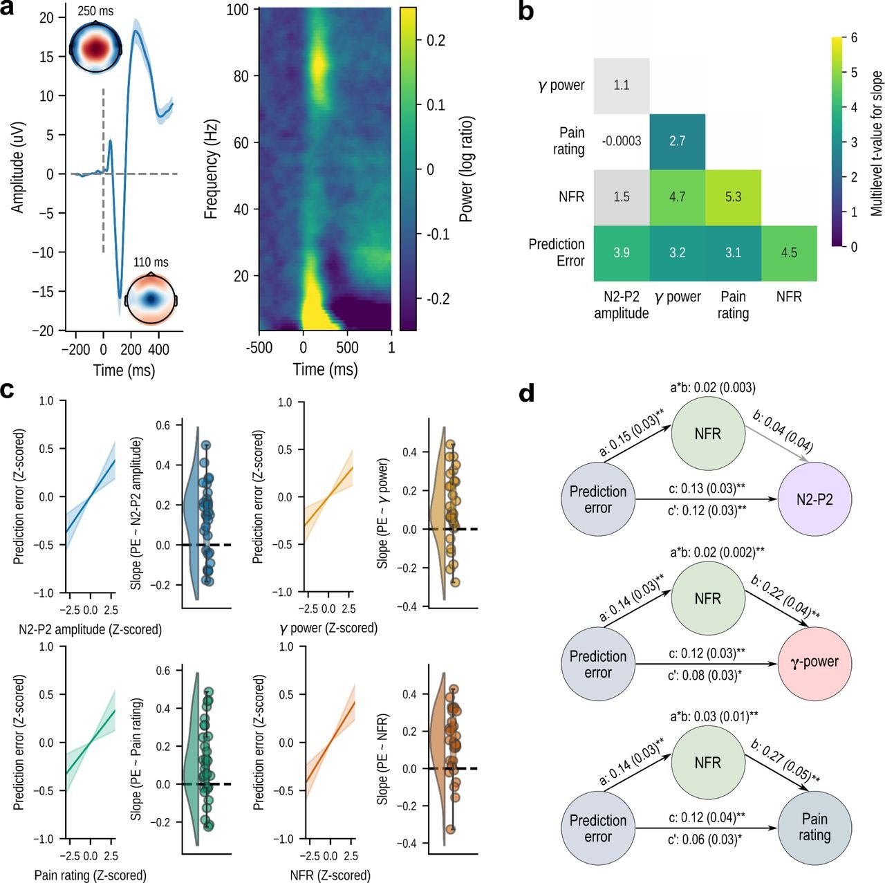 Figure 3, Pain reflects the informational value of nociceptive inputs