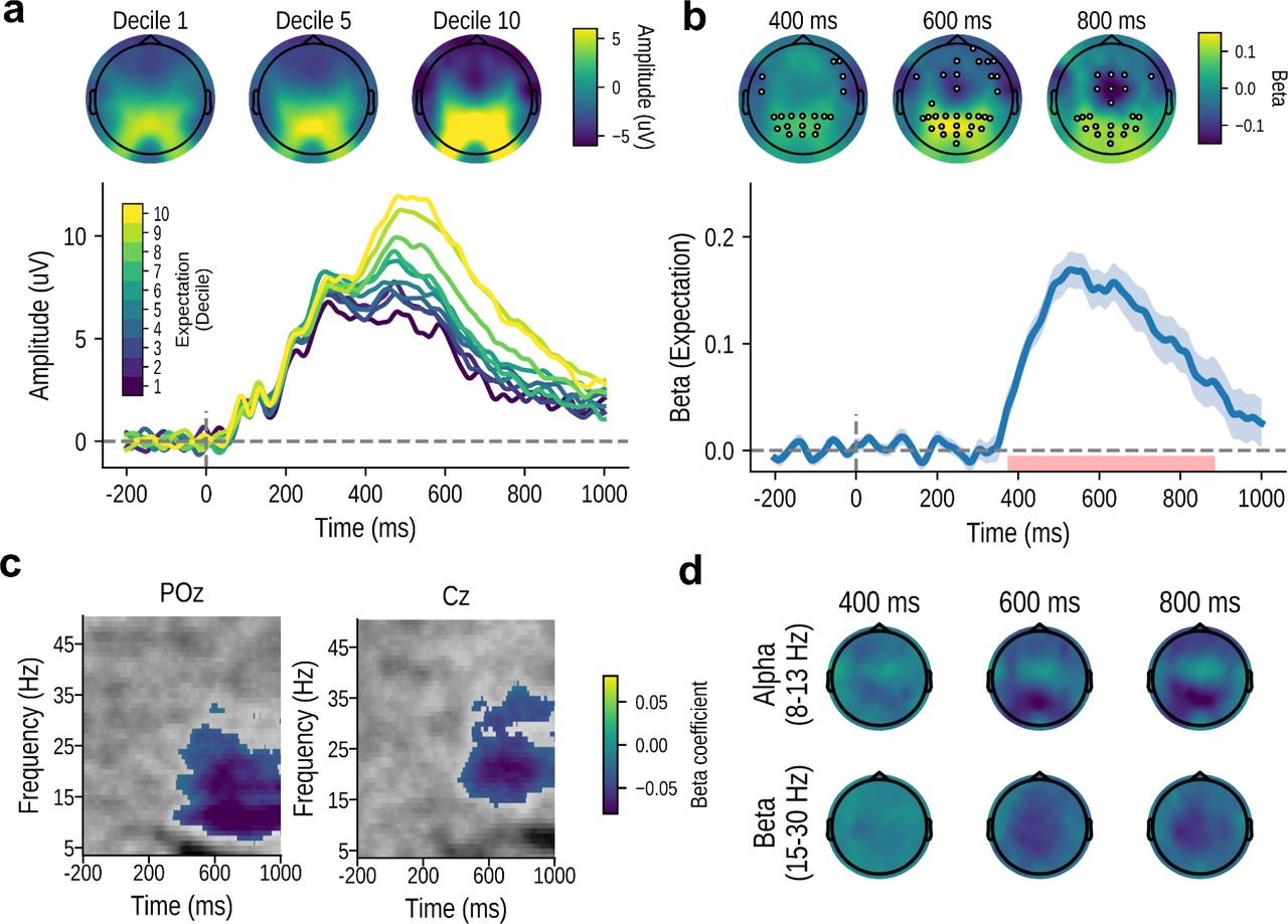 Figure 4, Pain reflects the informational value of nociceptive inputs