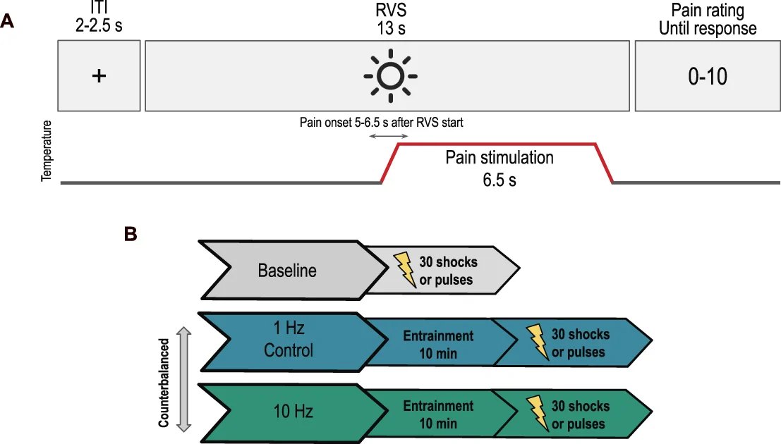 Figure 1, No effect of rhythmic visual stimulation on experimental pain perception